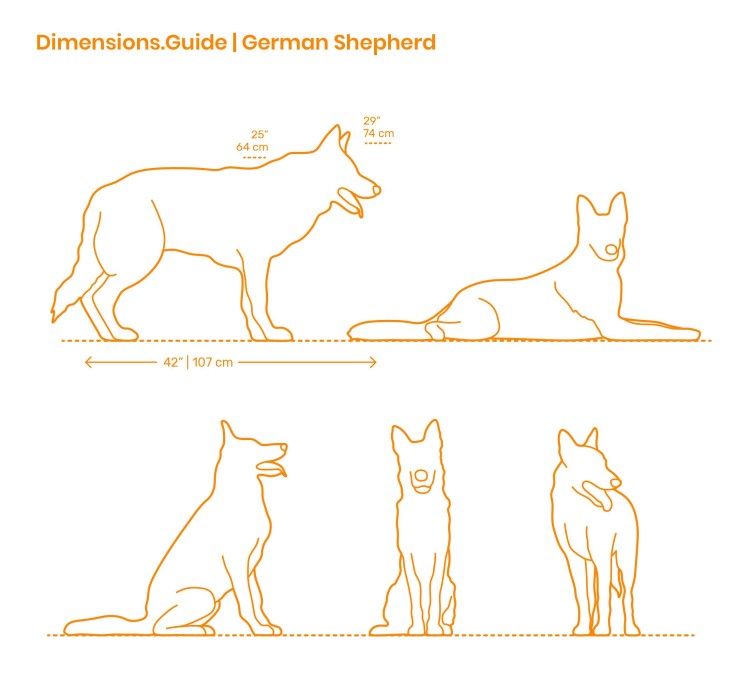 Будка для собаки утепленная чертеж