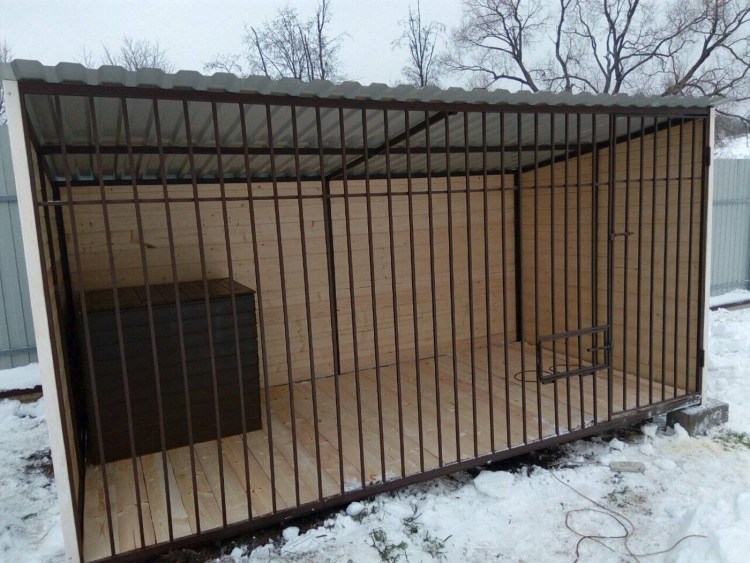 Референс овчарки на задних лапах