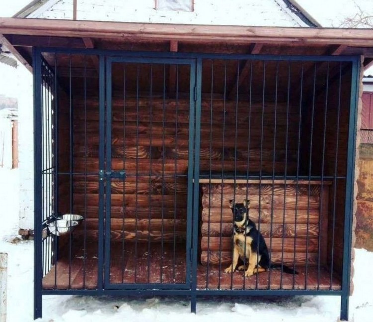 Размеры конуры для немецкой овчарки