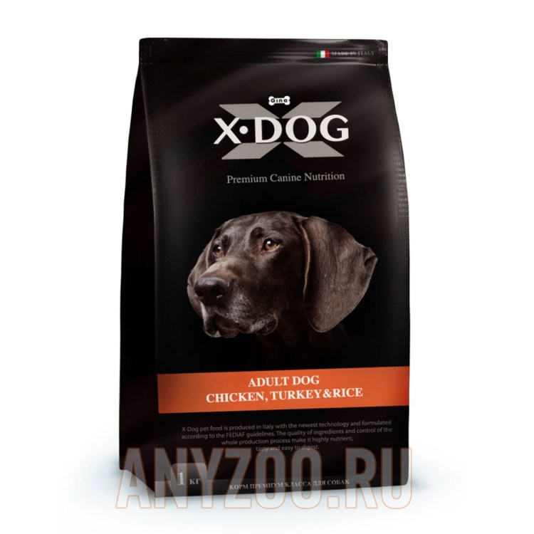 Рыжий пушистый пес порода