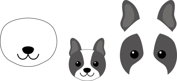 Мордочка собачки