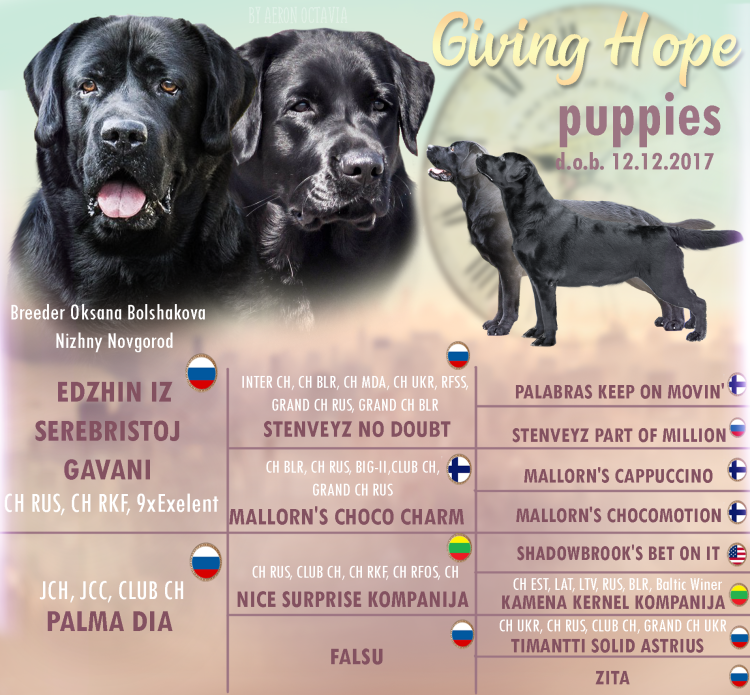 Малый немецкий шпиц стандарт породы вес