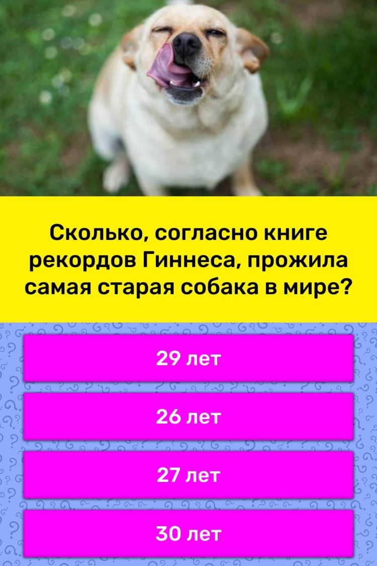 Суточная норма сухого корма для собак средних пород