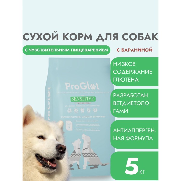 Возраст собаки по человеческим меркам лабрадор