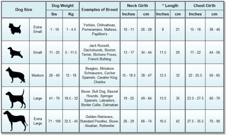 Кошачий Возраст по человеческим меркам