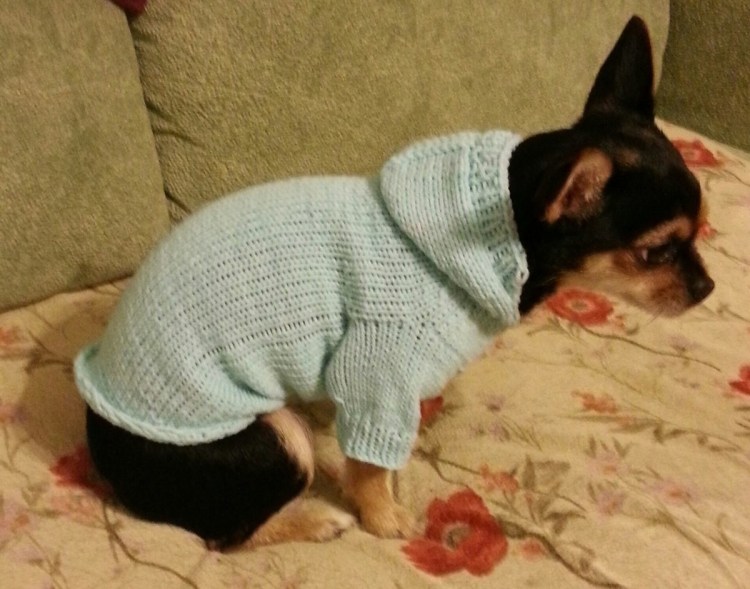 Вязаная одежда для собак