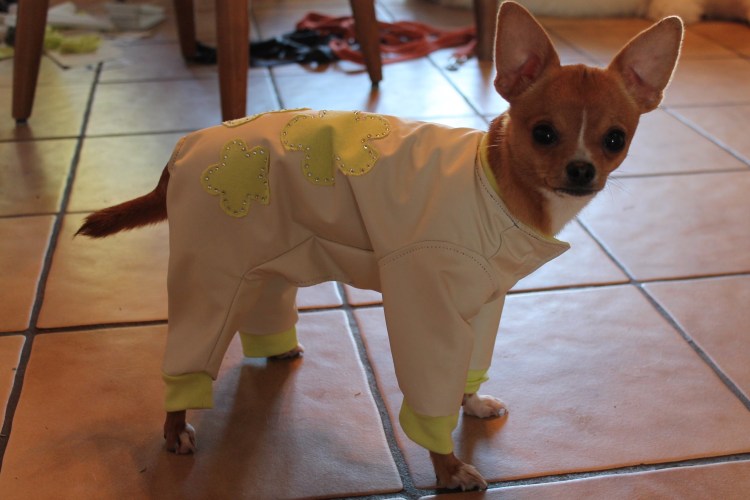 Вязаная одежда для пинчера