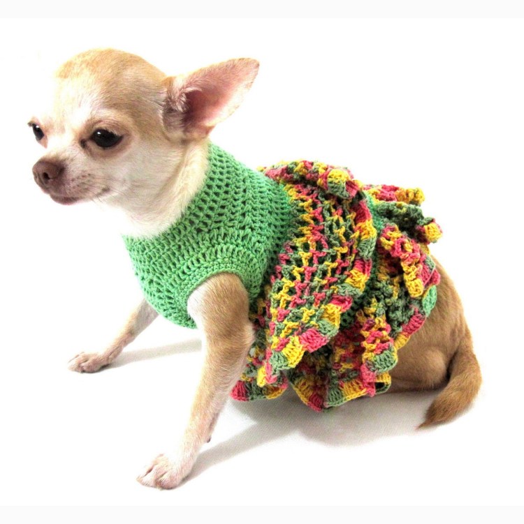 Свитер для чихуахуа