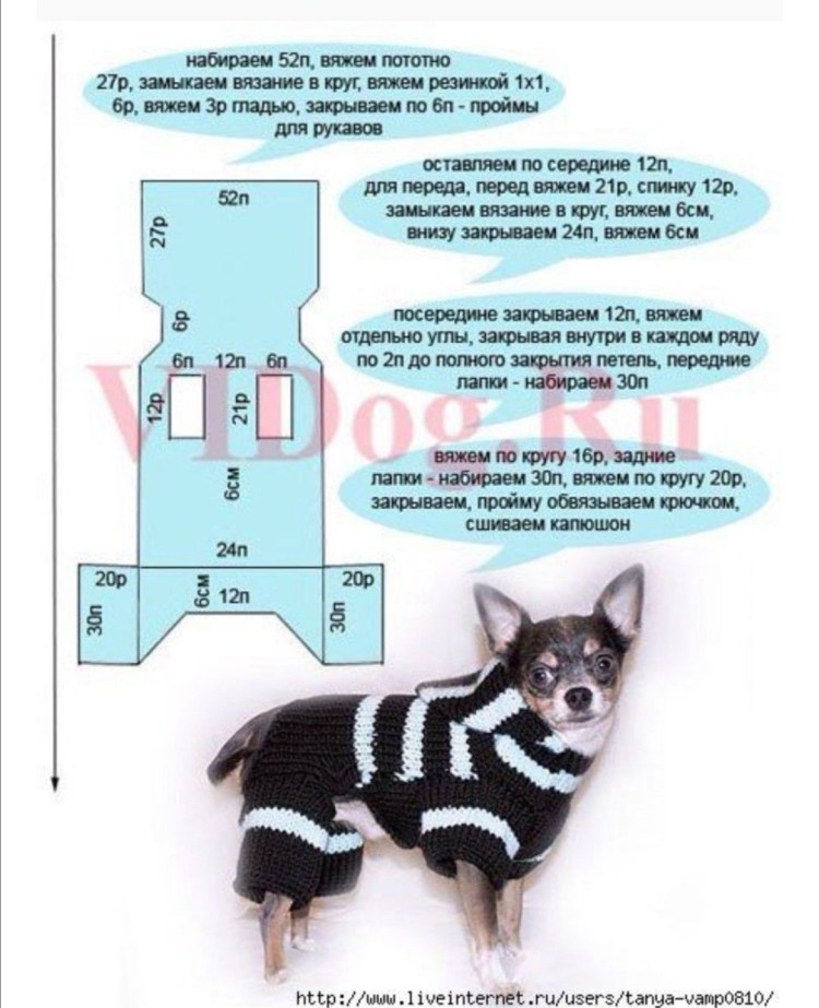 Вязаный костюм для собаки