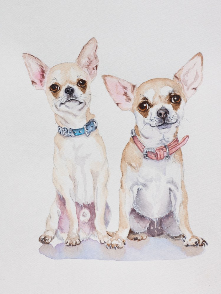 Чихуахуа мультяшный