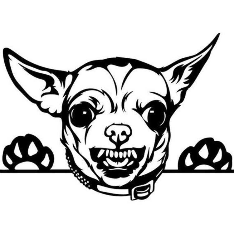 Чихуахуа эскиз