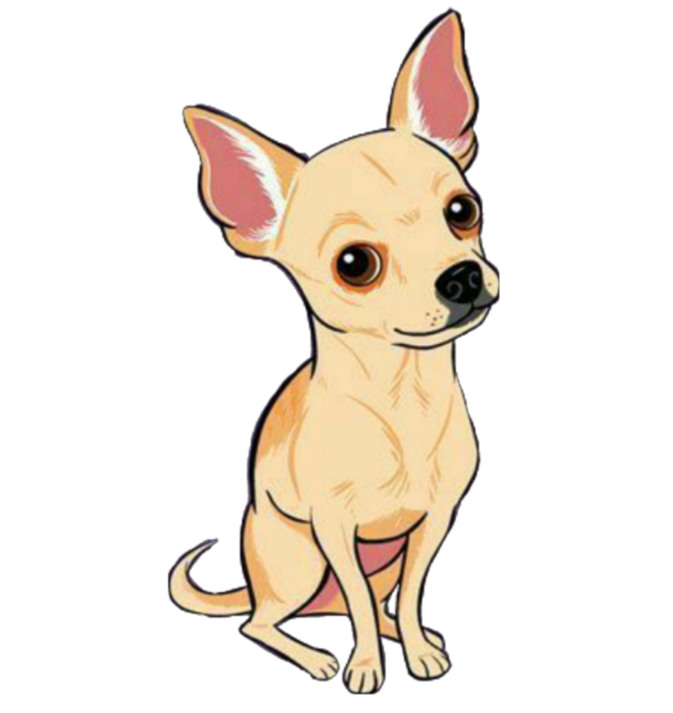 Собака чихуахуа той терьер