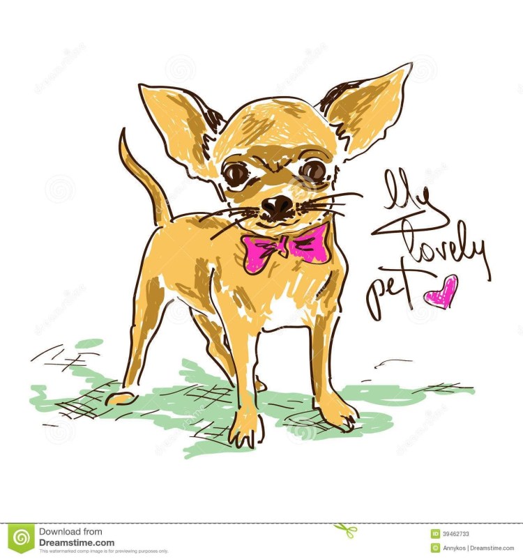 Той терьер арт