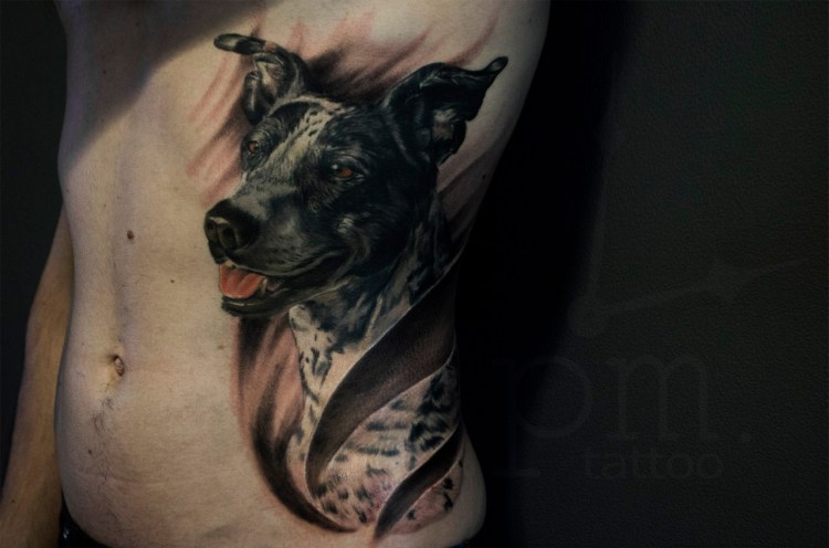 Мышцы туловища собаки анатомия