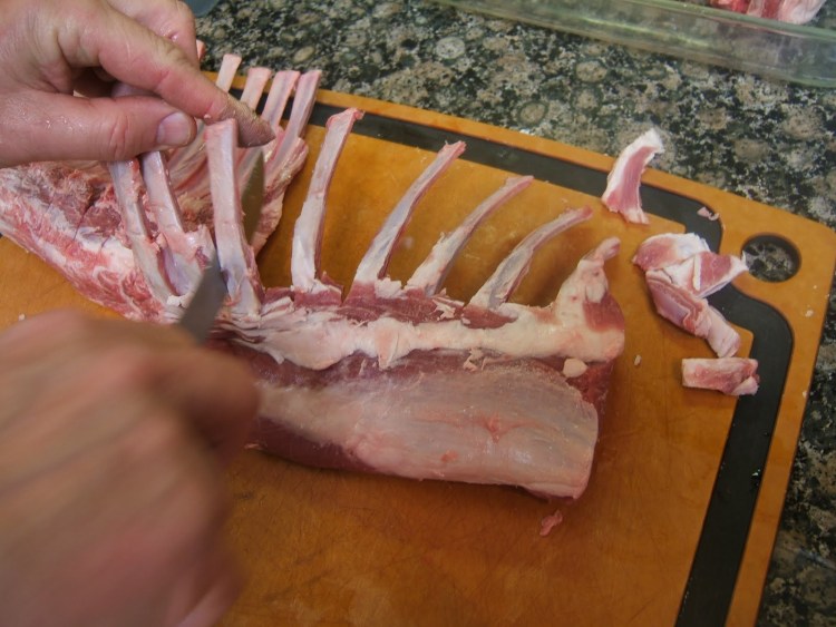 Селезенка собаки анатомия