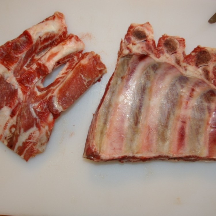 Анатомия костей собаки