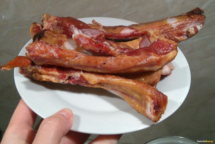 Анатомия КРС скелет