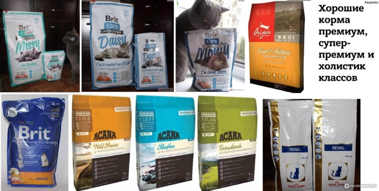 Корм для кошек премиум класса Киттен