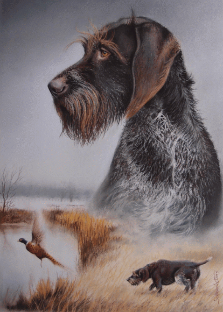 Джим Киллен художник