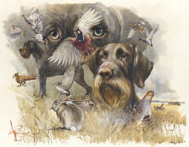 Курцхаар и дратхаар