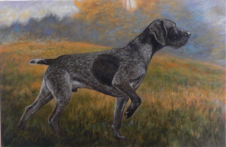 Курцхаар Тристан