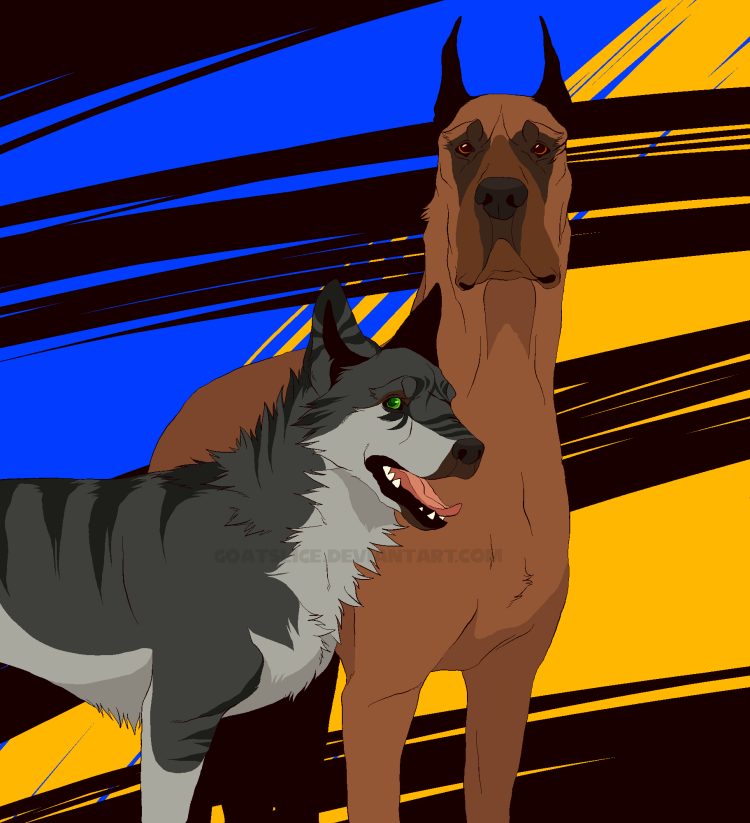 Собака породы Кай Кен рисунки