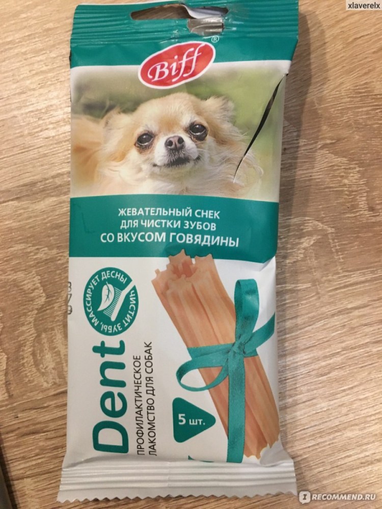 Какой пастой чистить зубы собаке