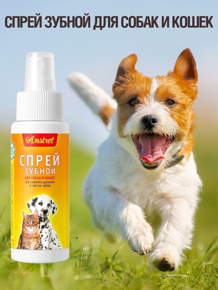 Гель для кошек и собак Platinum 3-in-1 Classic для полости рта 120мл