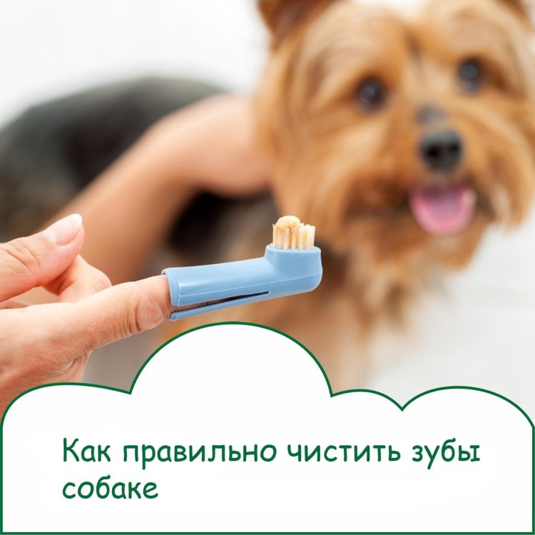 Ультразвук щетка для собак