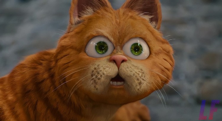 Рыжая кошка