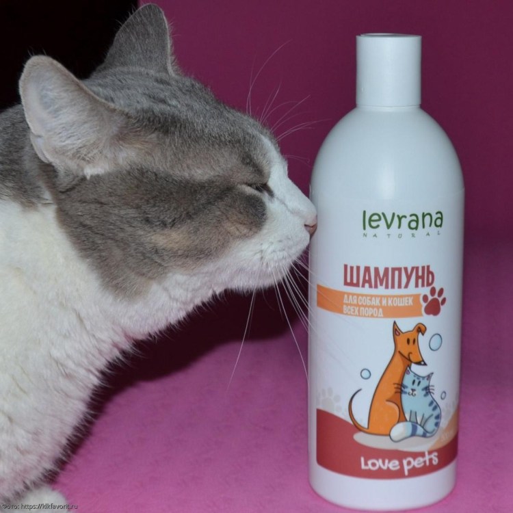 Шампунь для котиков