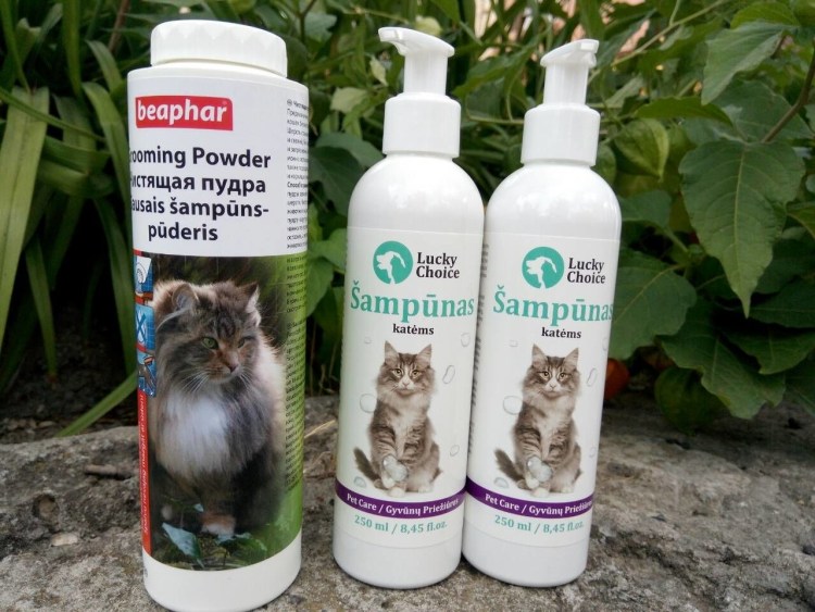 Каким шампунем мыть кота