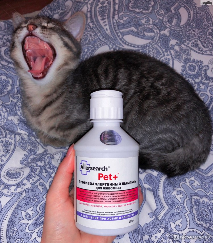 Шампунь для собак Beaphar immo Shield Shampoo от паразитов 200мл