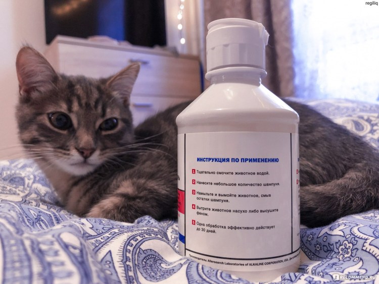 Клотримазол шампунь для собак