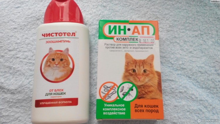 Шампунь для котов от аллергии