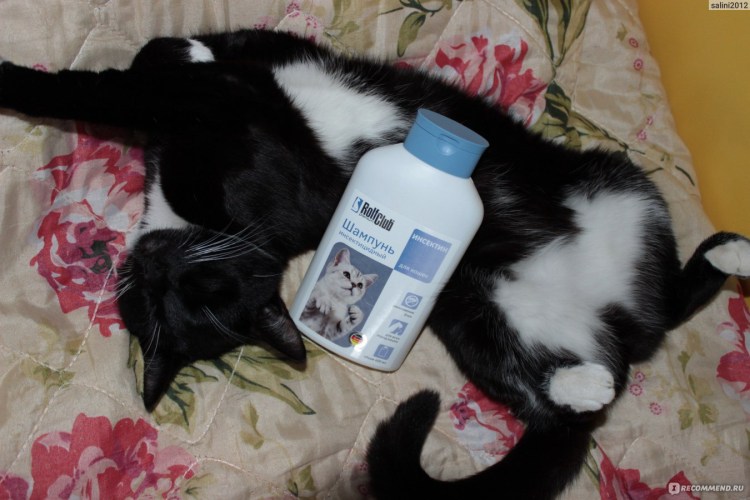 Цитодерм шампунь для собак
