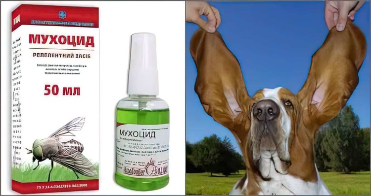 Игорь Гневашев фотограф