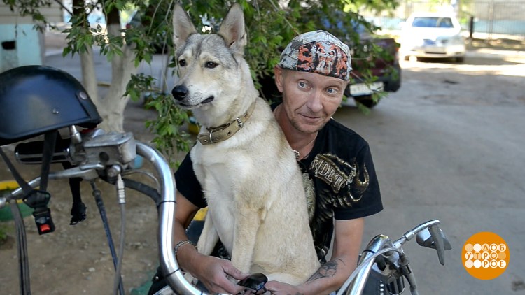 Собака байкер Астрахань хозяин