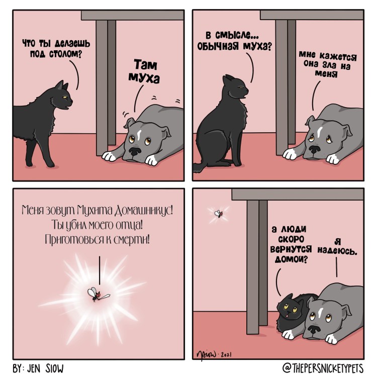 Зверьки в Тверской области