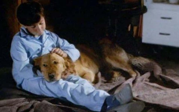 Собака Альбина космонавт