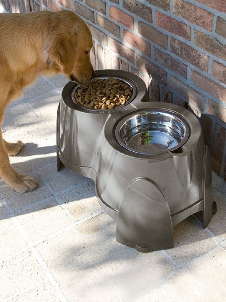 Высота миски для собак