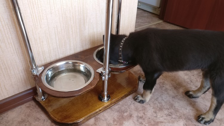 Подставка под миски для собак своими руками из дерева