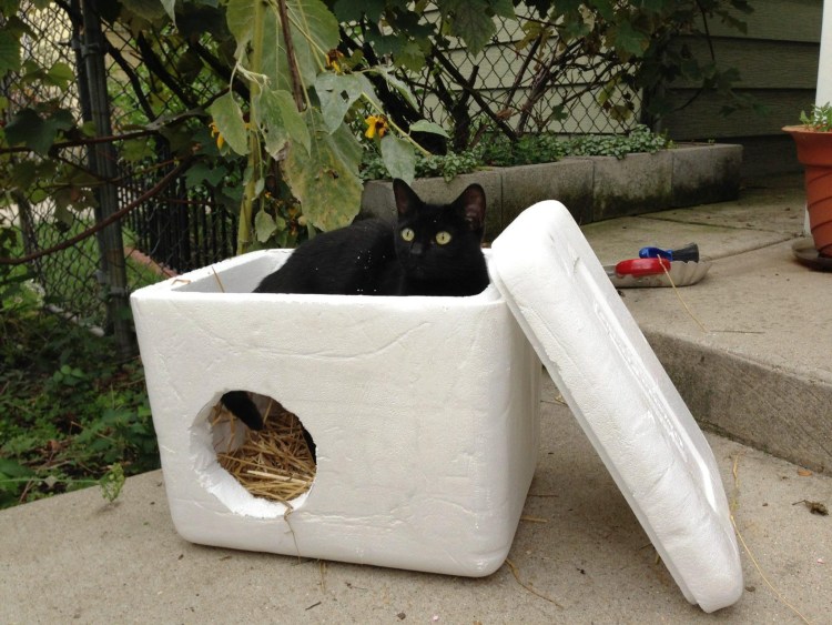 Уличные деревянные домики для кошек