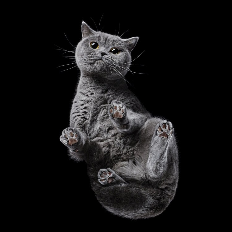 Андриус Бурба