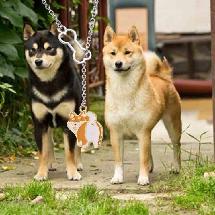 Лайка сиба ину