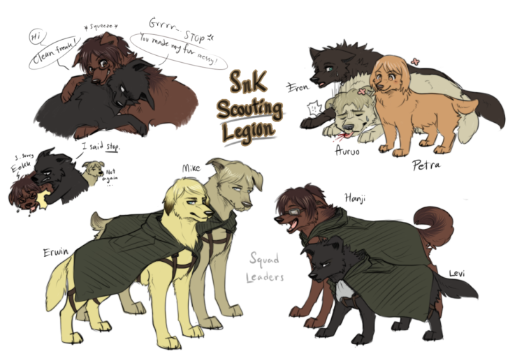 Бельгийская овчарка малинуа в прыжке