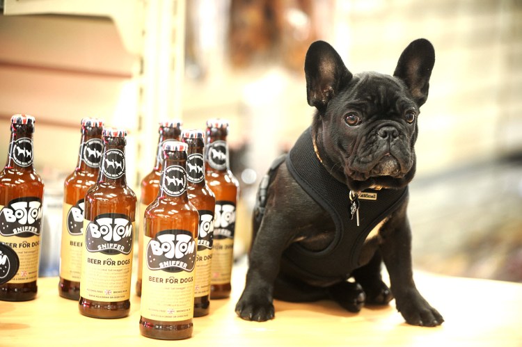 Доберман владыка рашины