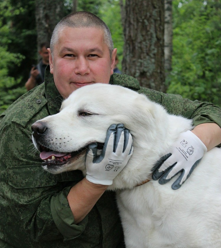 2 Белый алабай