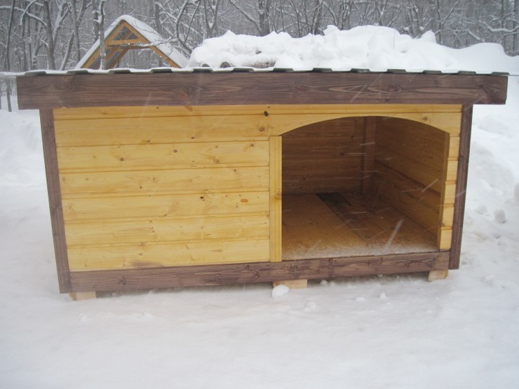 Зимняя собачья будка