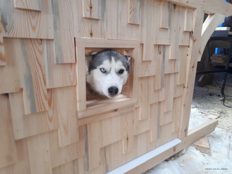 Шторка для будки собаки зимой